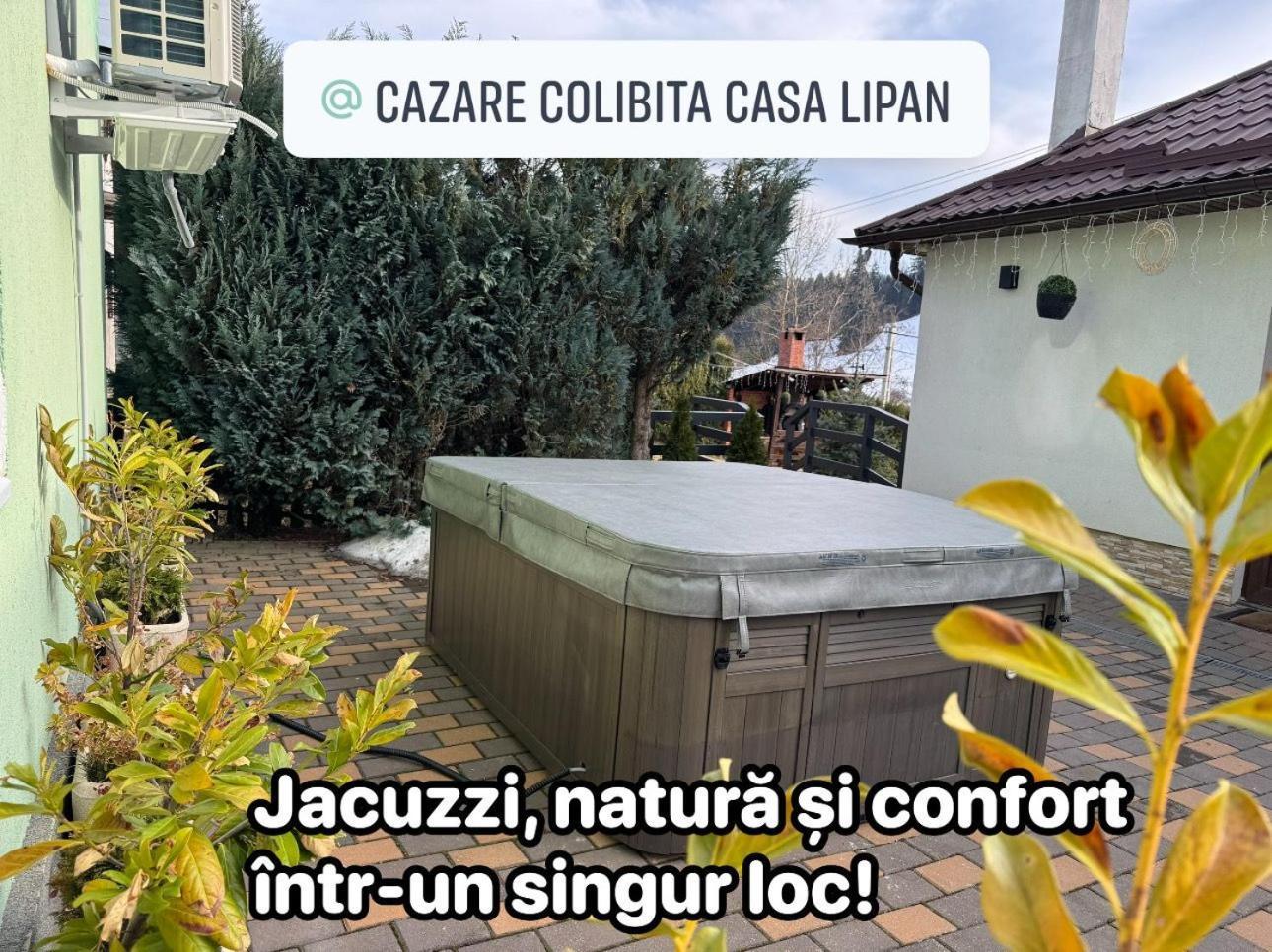 Cazare Colibita Casa Lipan Екстер'єр фото